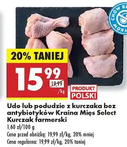 Biedronka Udo lub podudzie z kurczaka bez antybiotyków Kraina Mięs Select Kurczak farmerski oferta