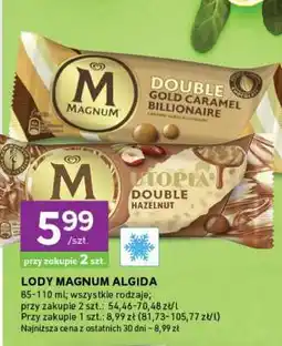 Stokrotka Express Lody MAGNUM ALGIDA oferta