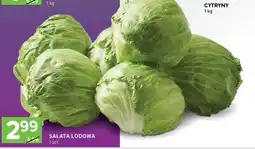 Stokrotka Express Sałata lodowa oferta