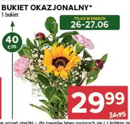 Stokrotka Market Bukiet okazjonalny oferta