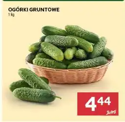 Stokrotka Market Ogórki gruntowe oferta