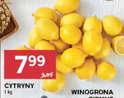 Stokrotka Market Cytryny oferta