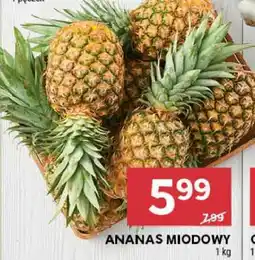 Stokrotka Market Ananas Miodowy oferta