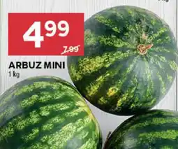 Stokrotka Market Arbuz mini oferta
