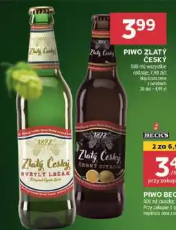 Stokrotka Market Piwo Zlatý Český oferta