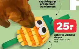 Netto Zabawka węchowa dla psa oferta