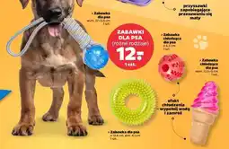 Netto Zabawki dla psa oferta