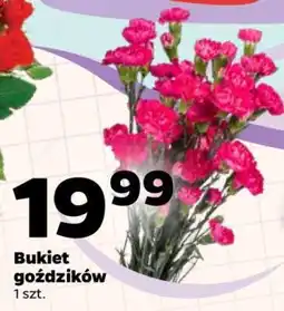 Netto Bukiet goździków oferta