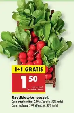 Biedronka Rzodkiewka pęczek oferta