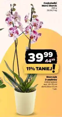 Netto Storczyk 2-pędowy oferta