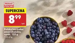 Biedronka Polska borówka amerykańska, opak. 125 g oferta