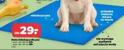 Netto Mata chłodząca dla psa oferta