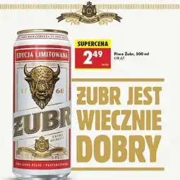 Biedronka PIWO ŻUBR 500 ML oferta
