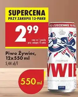 Biedronka Piwo Żywiec 12x550 ml oferta
