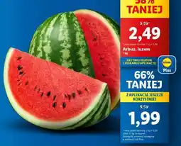 Lidl Arbuz luzem oferta