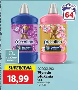 Lidl COCCOLINO Płyn do płukania oferta