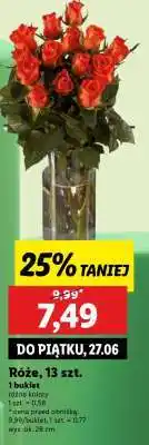 Lidl Róże, 13 szt oferta