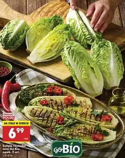 Biedronka Sałata rzymska Gobio oferta