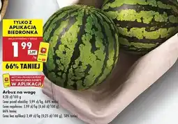 Biedronka Arbuz oferta