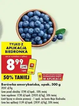 Biedronka Borówki amerykańskie oferta