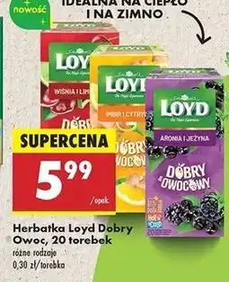 Biedronka Herbata imbir i cytryna Loyd Tea Dobry & Owocowy oferta