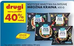 Biedronka Warzywa na patelnię po azjatycku z mieszanką przypraw Mroźna Kraina oferta