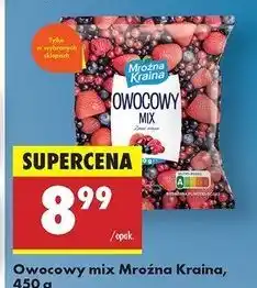 Biedronka Mix owocowy Mroźna Kraina oferta