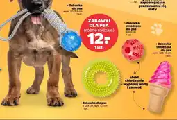 Netto Zabawka dla psa chodząca oferta