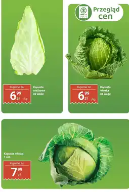 Biedronka Kapusta młoda Biedronka oferta