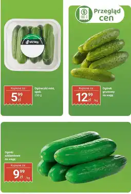 Biedronka Ogórki szklarniowe Biedronka oferta