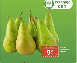 Biedronka Gruszka konferencja na wagę Biedronka oferta