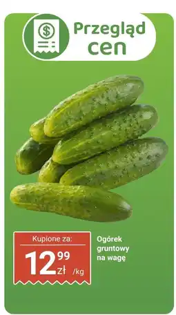 Biedronka Ogórek gruntowy Biedronka oferta