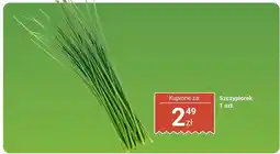 Biedronka Szczypiorek Biedronka oferta