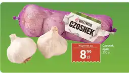 Biedronka Czosnek Warzywniak oferta