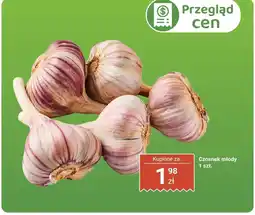 Biedronka Czosnek młody Biedronka oferta