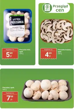 Biedronka Pieczarka Biedronka oferta
