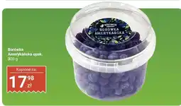 Biedronka Borówka amerykańska Warzywniak owocowy oferta