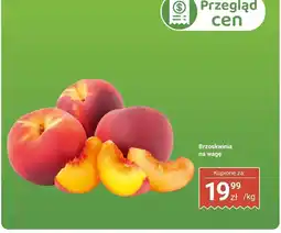 Biedronka Brzoskwinia Biedronka oferta