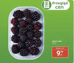 Biedronka Jeżyna, opak. Biedronka oferta