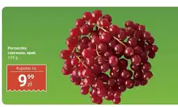 Biedronka Porzeczka czerwona, opak. Biedronka oferta