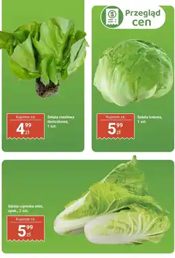 Biedronka Sałata rzymska mini Biedronka oferta