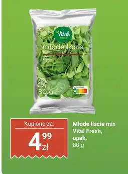 Biedronka Młode liście mix Vital Fresh oferta