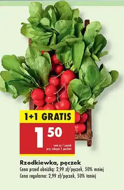 Biedronka Rzodkiewka pęczek Biedronka oferta
