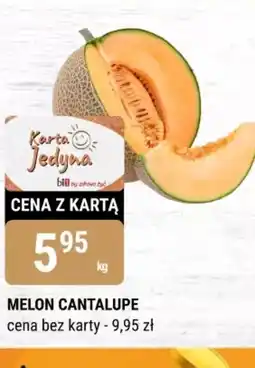 bi1 Melon Cantalupe oferta