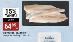 bi1 Miętus filet bez skóry oferta
