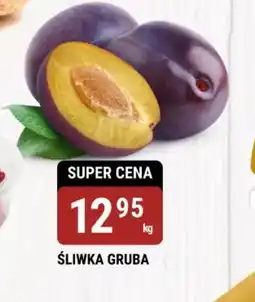 bi1 Sliwka gruba oferta