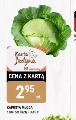 bi1 Kapusta młoda oferta
