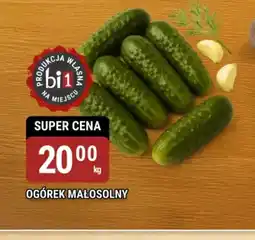 bi1 Ogórek małosolny oferta