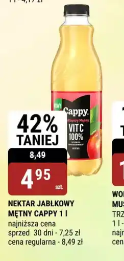 bi1 Nektar jabłkowy mętny Cappy oferta