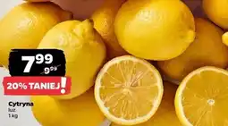 Netto Cytryny oferta